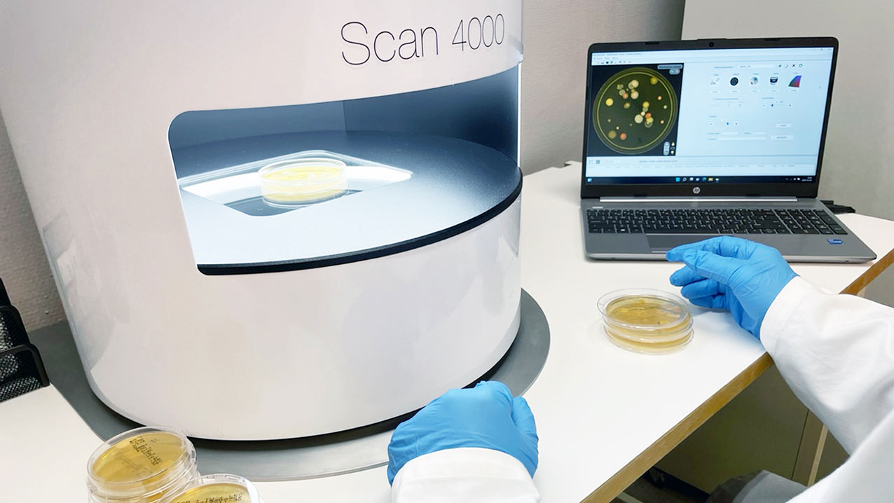 Agar plates with bacterial growth are analyzed by laboratory staff using the Scan 4000 analysis instrument